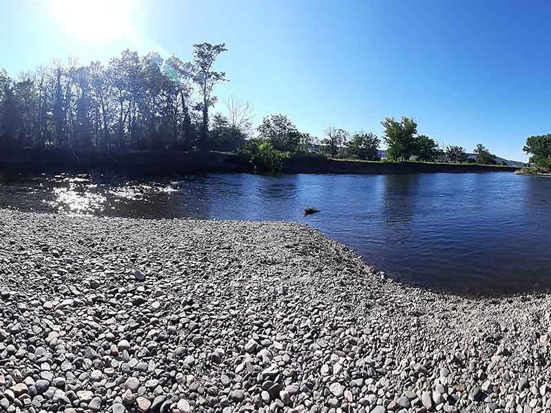 pêche en rivière allier